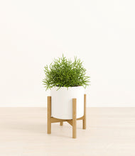 Load image into Gallery viewer, White stand:bamboo