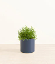 Load image into Gallery viewer, Deep Navy*****Profile