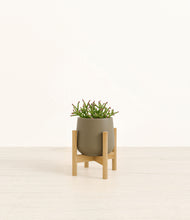 Load image into Gallery viewer, Olive stand:bamboo