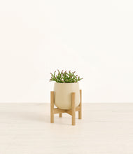 Load image into Gallery viewer, Almond Green stand:bamboo