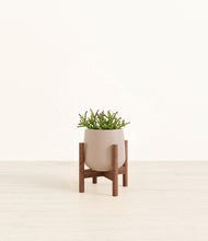 Load image into Gallery viewer, Eternal Gray stand:walnut
