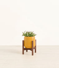 Load image into Gallery viewer, Mustard stand:walnut