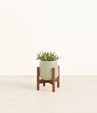 Load image into Gallery viewer, Turquoise stand:walnut