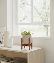 Load image into Gallery viewer, Eternal Gray stand:walnut