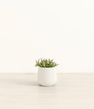 Load image into Gallery viewer, White*****Profile