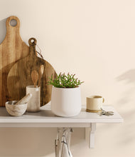 Load image into Gallery viewer, White