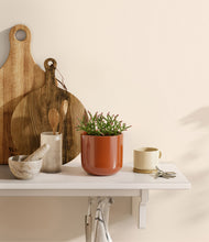 Load image into Gallery viewer, Glossy Red