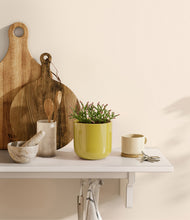 Load image into Gallery viewer, Key Lime Yellow