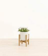 Load image into Gallery viewer, Cotton White stand:bamboo
