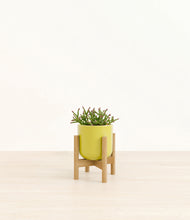 Load image into Gallery viewer, Key Lime Yellow stand:bamboo