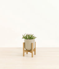Load image into Gallery viewer, Sage Green stand:bamboo