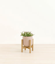 Load image into Gallery viewer, Sandy Pink stand:bamboo