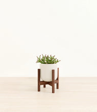 Load image into Gallery viewer, Cotton White stand:walnut