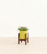 Load image into Gallery viewer, Key Lime Yellow stand:walnut