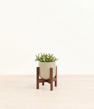 Load image into Gallery viewer, Sage Green stand:walnut