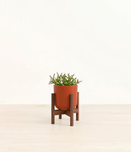 Load image into Gallery viewer, Earth Red stand:walnut
