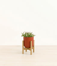 Load image into Gallery viewer, Earth Red stand:bamboo