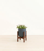 Load image into Gallery viewer, Iron Gray stand:walnut