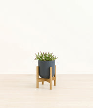 Load image into Gallery viewer, Iron Gray stand:bamboo