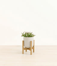 Load image into Gallery viewer, Natural Bamboo stand:bamboo