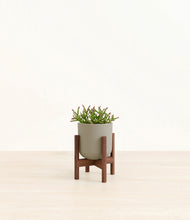 Load image into Gallery viewer, Sage Green stand:walnut