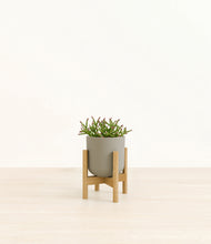Load image into Gallery viewer, Sage Green stand:bamboo