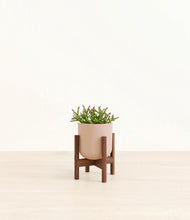 Load image into Gallery viewer, Sandy Pink stand:walnut