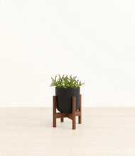 Load image into Gallery viewer, Stone Black stand:walnut