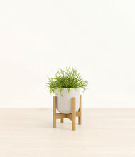 Load image into Gallery viewer, Natural Bamboo stand:bamboo