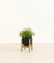 Load image into Gallery viewer, Stone Black stand:bamboo