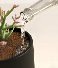 Load image into Gallery viewer, Charcoal