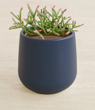 Load image into Gallery viewer, Deep Navy stand:all