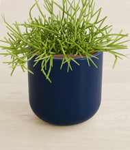 Load image into Gallery viewer, Twilight Blue stand:all