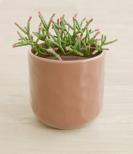 Load image into Gallery viewer, Hammered Peach Pink stand:all