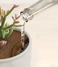 Load image into Gallery viewer, Hammered Ivory stand:all