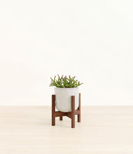 Load image into Gallery viewer, Hammered Ivory stand:walnut