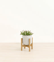 Load image into Gallery viewer, Hammered Ivory stand:bamboo