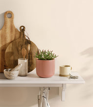 Load image into Gallery viewer, Striped Rose Pink