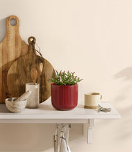 Load image into Gallery viewer, Striped Cherry Red