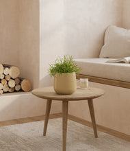 Load image into Gallery viewer, Almond Green