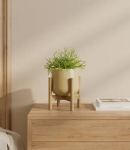 Load image into Gallery viewer, Key Lime Yellow stand:bamboo