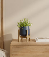 Load image into Gallery viewer, Deep Navy stand:bamboo