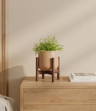 Load image into Gallery viewer, Gentle Pink stand:walnut
