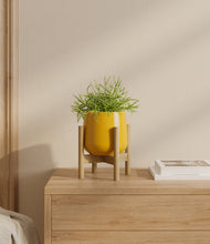 Load image into Gallery viewer, Mustard stand:bamboo