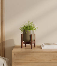 Load image into Gallery viewer, Olive stand:walnut
