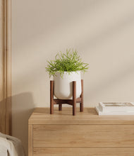 Load image into Gallery viewer, White stand:walnut