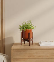 Load image into Gallery viewer, Glossy Red stand:bamboo