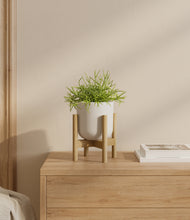 Load image into Gallery viewer, Natural Bamboo stand:bamboo