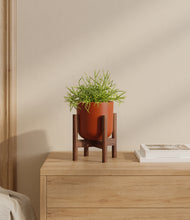 Load image into Gallery viewer, Earth Red stand:walnut