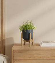 Load image into Gallery viewer, Iron Gray stand:bamboo